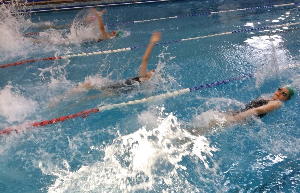 year 5 junior pupils take to the water in the pool at cheadle hulme school for inter-house swimming gala competition