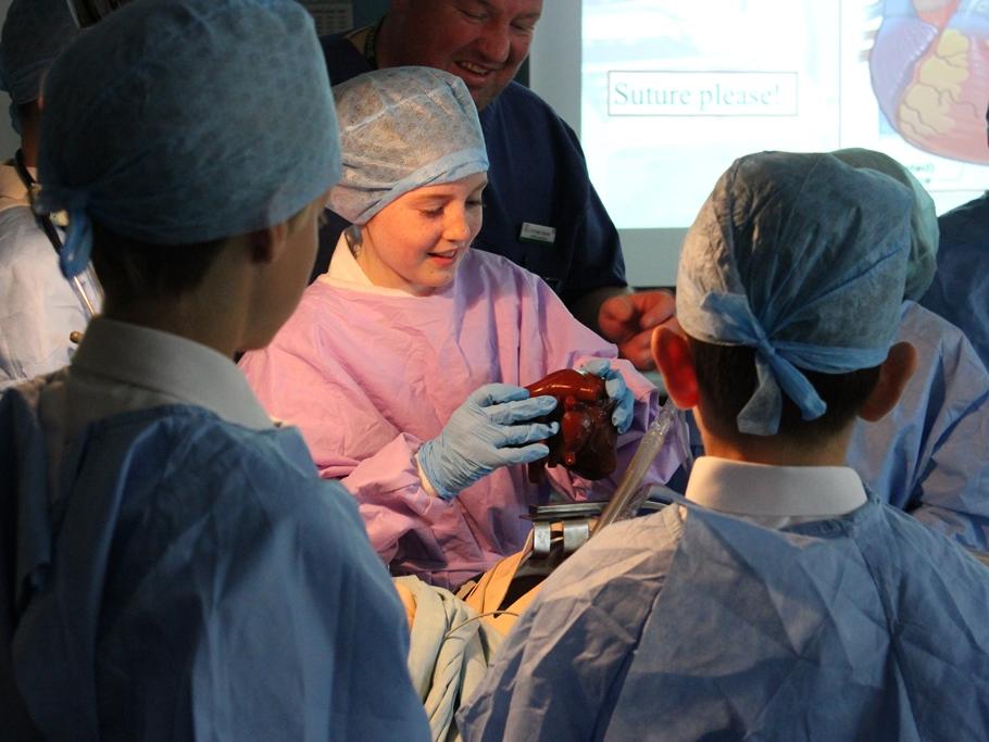 Pupils Scrub-Up to Perform Mock Heart Surgery
