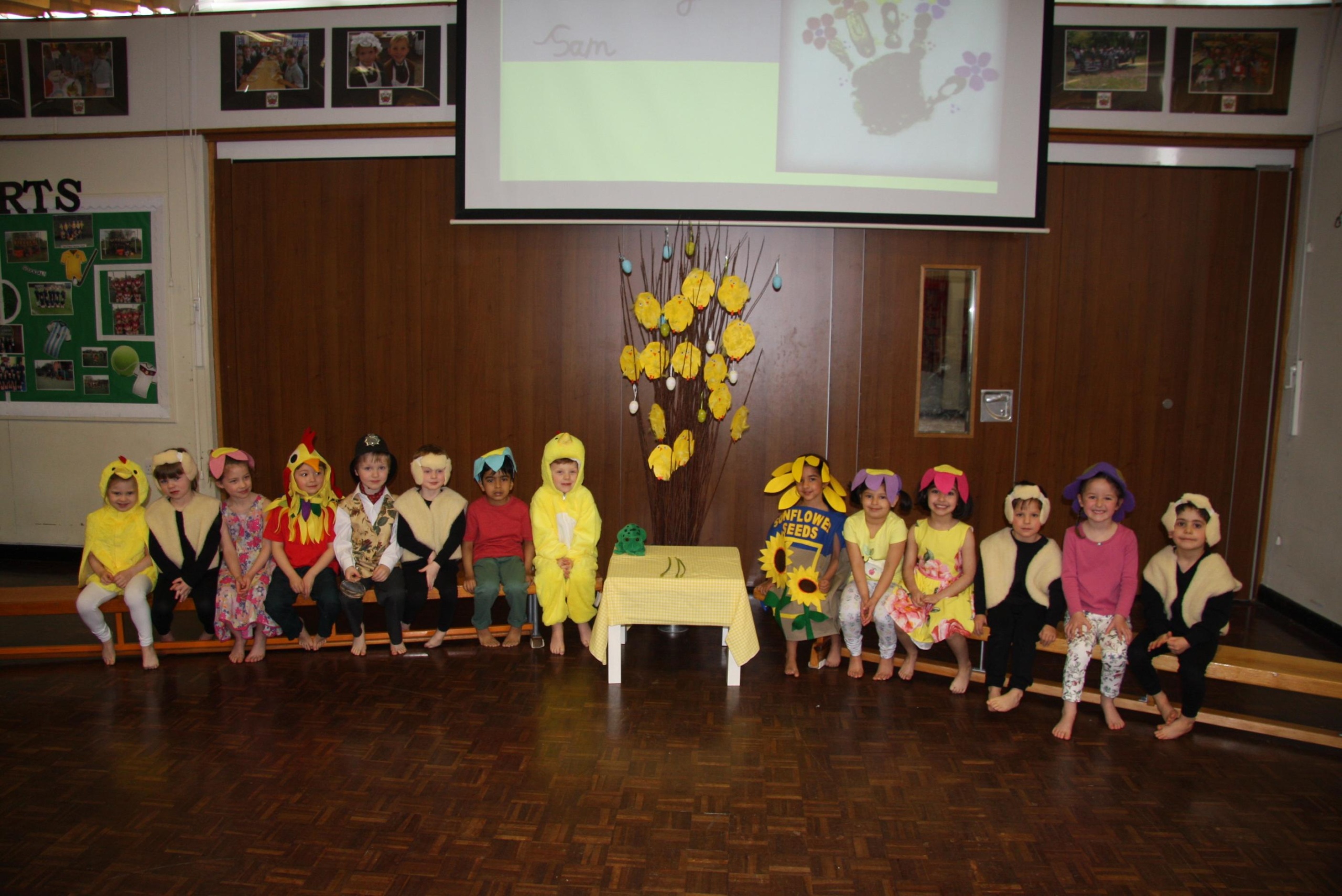 Reception pupils in class RC dressed as easter chicks and daffodils show off their springtime costumes for performing their class assembly
