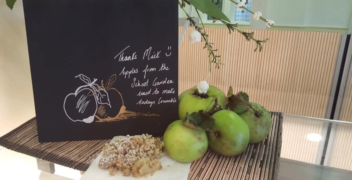apples from school garden